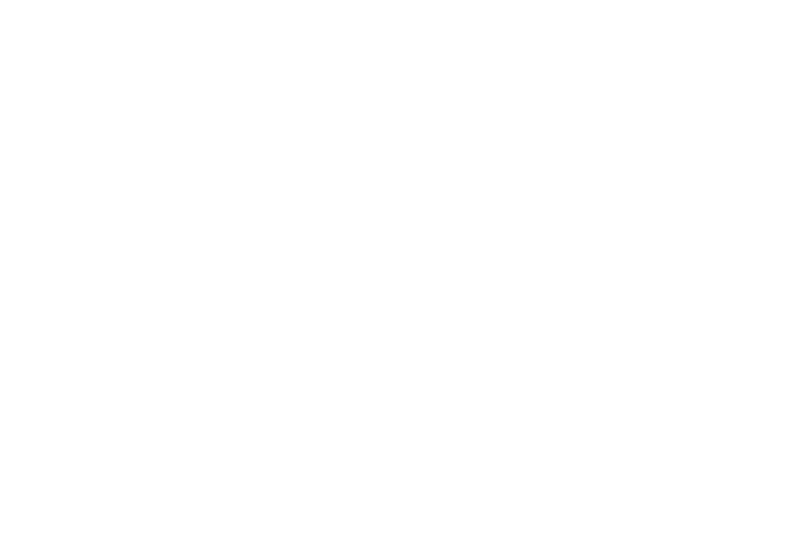 Logo da Binni