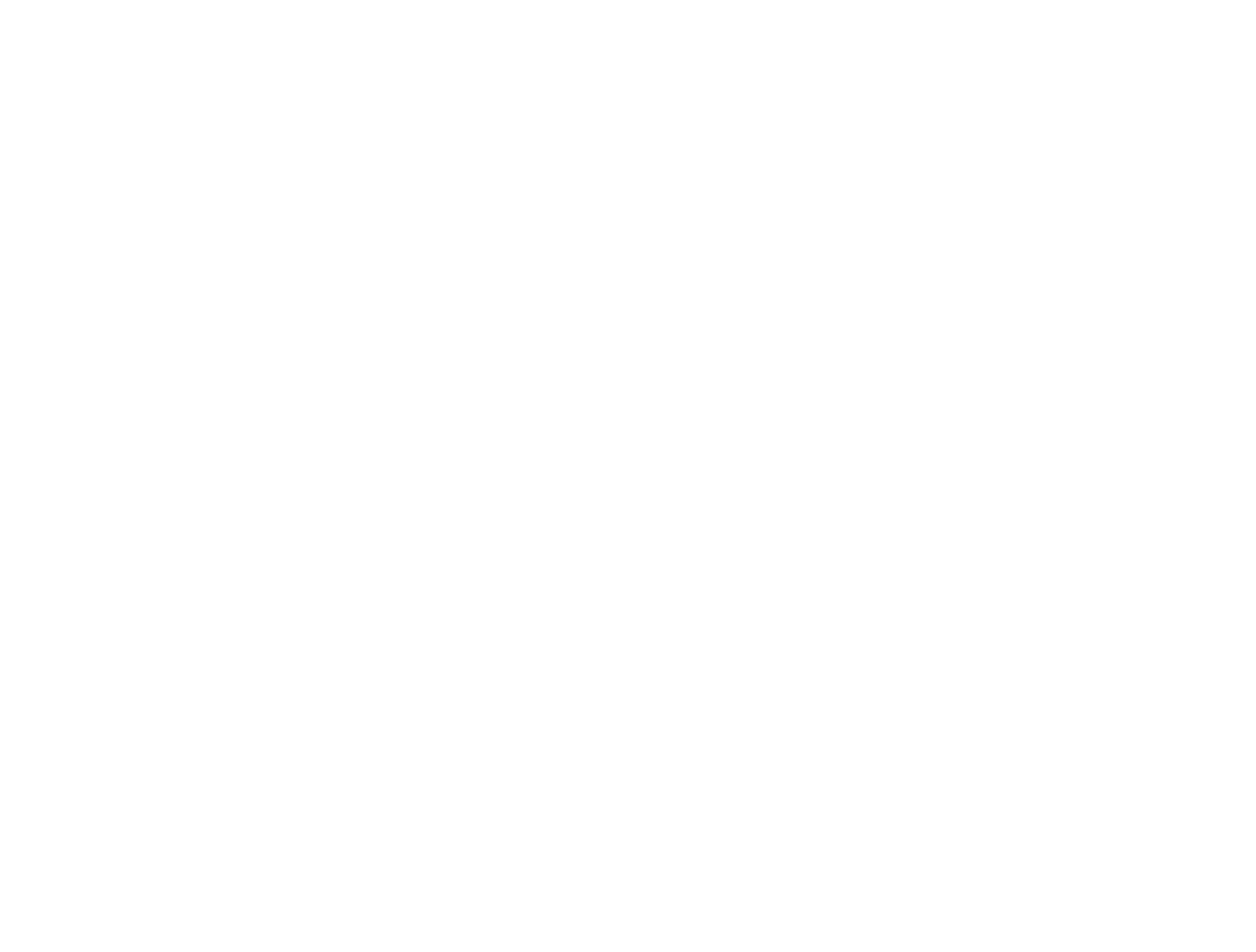 Logo da Opportunita