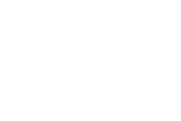 Logo da Singhula